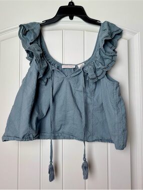 Shabby Chic Dusty Blue Embroidered Tie-Neck Crop Top